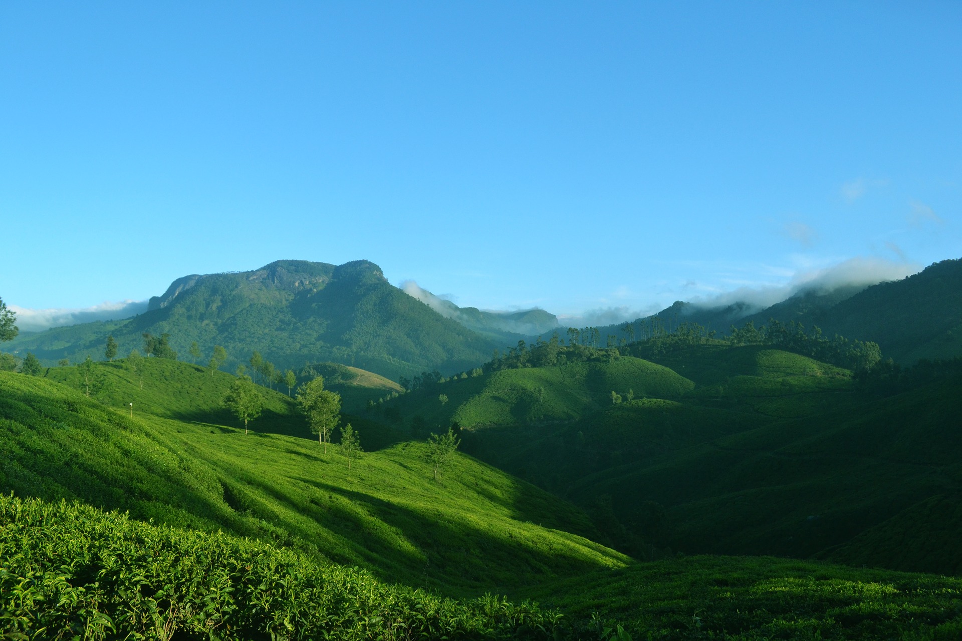 Wayanad Kerala-India