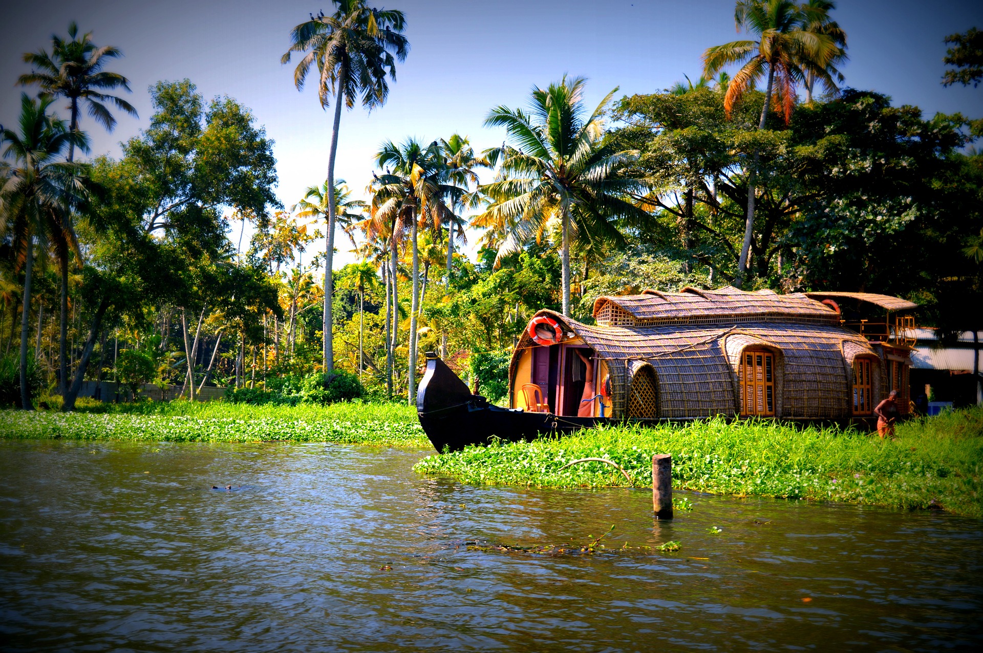 green kerala india