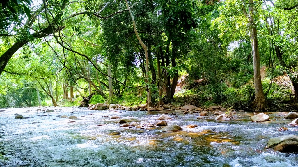 river in Munnar