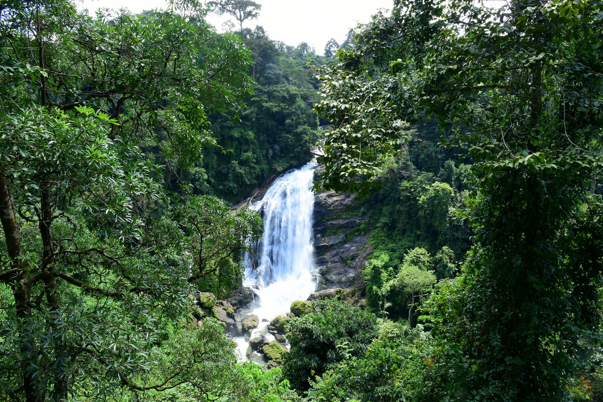 Waterfall Munnar, Kerala