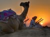 rajasthan
