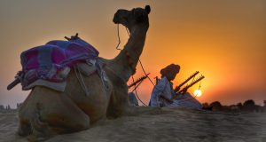 rajasthan
