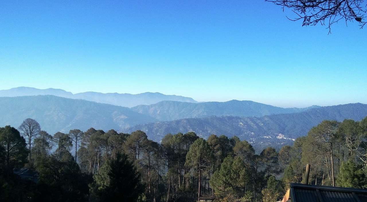 trees and hilly area in the ranikhet