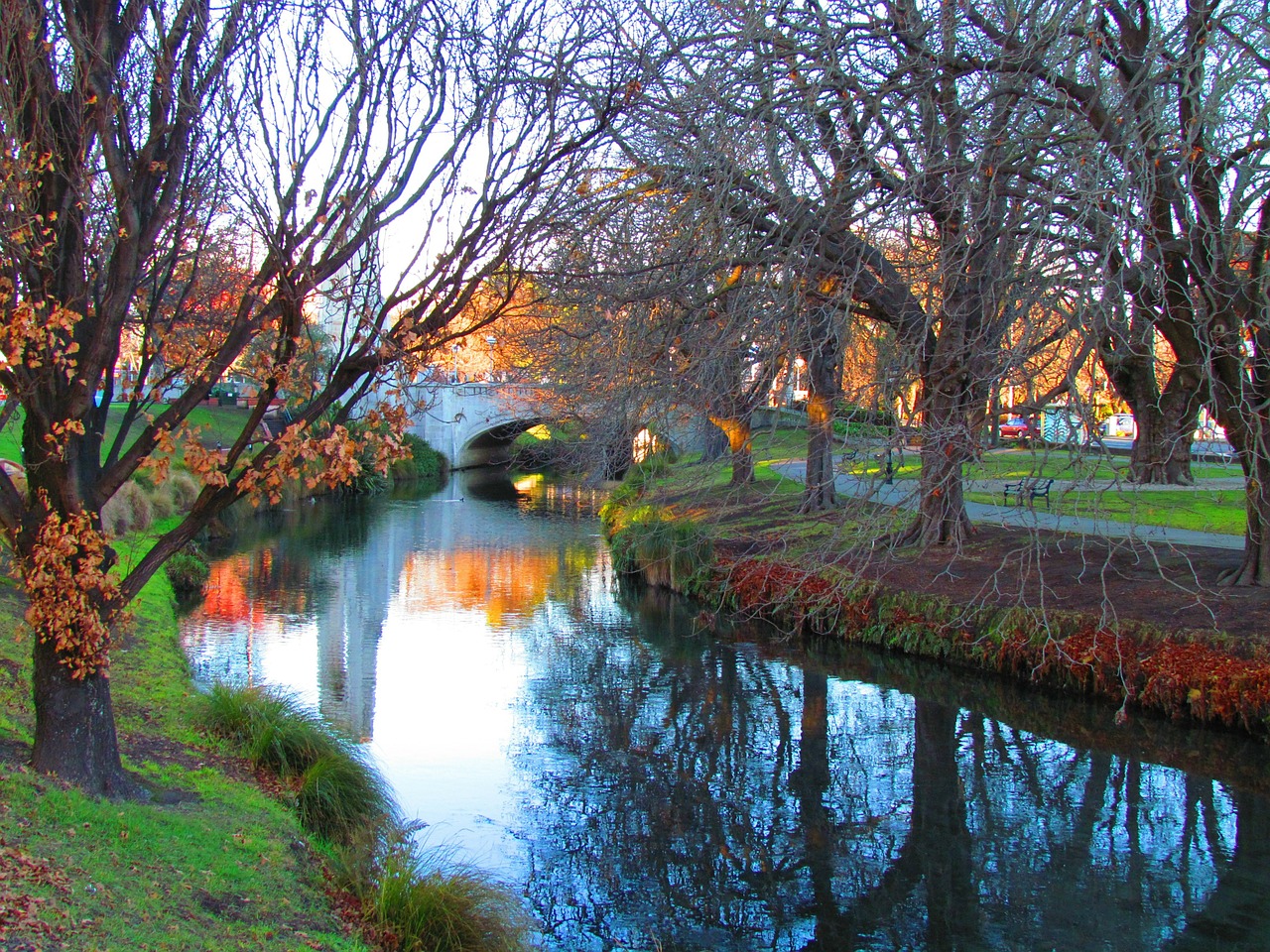 beautiful and colorful river with trees on both shores