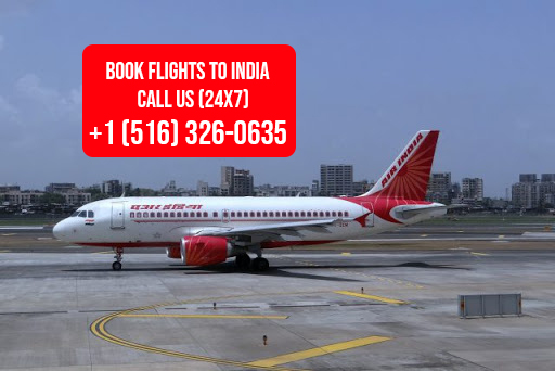 india to new jersey flight price