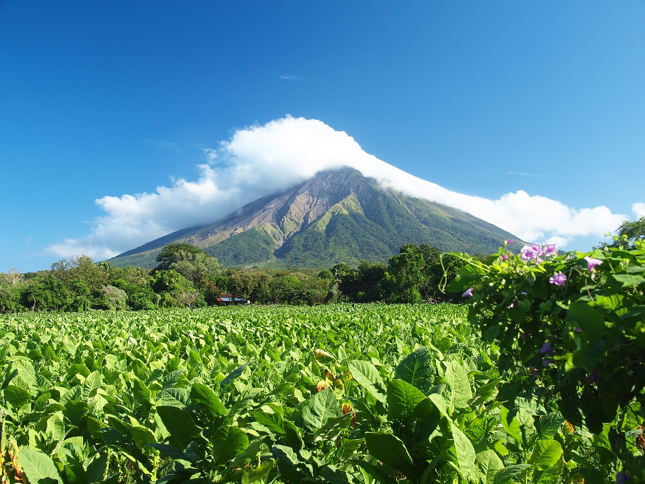 Nicaragua-visa free country for Indians in America | Taj Travel
