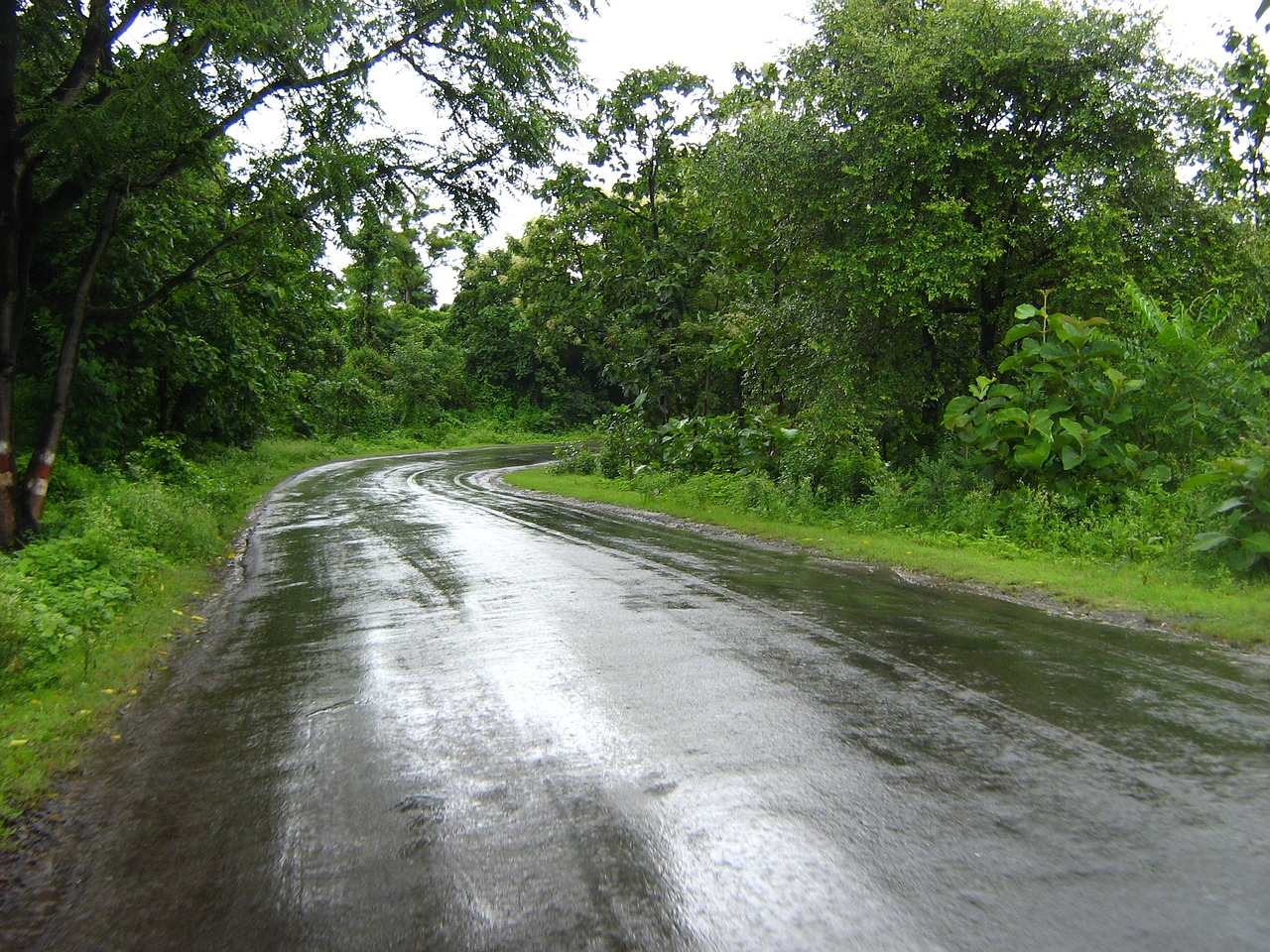 Tips on Travelling to India during Monsoon Season | Taj Travel