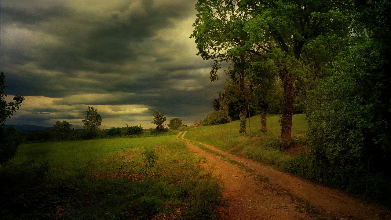 Tips on Travelling to India during Monsoon Season | Taj Travel