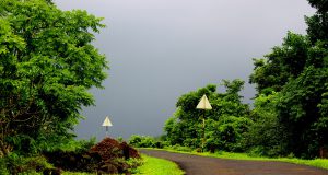 Tips on Travelling to India during Monsoon Season | Taj Travel