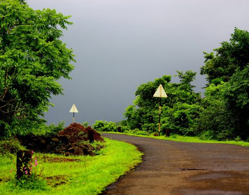 Tips on Travelling to India during Monsoon Season | Taj Travel