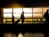 Transfer or residence from USA to India