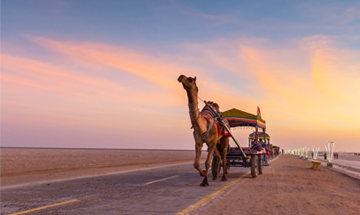 Rann of Kutch